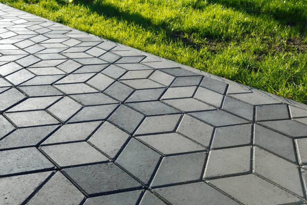 Best Concrete Paver Driveway  in Rio Grande City, TX