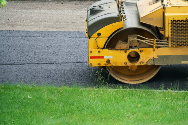 Best Local Driveway Pavers  in Rio Grande City, TX